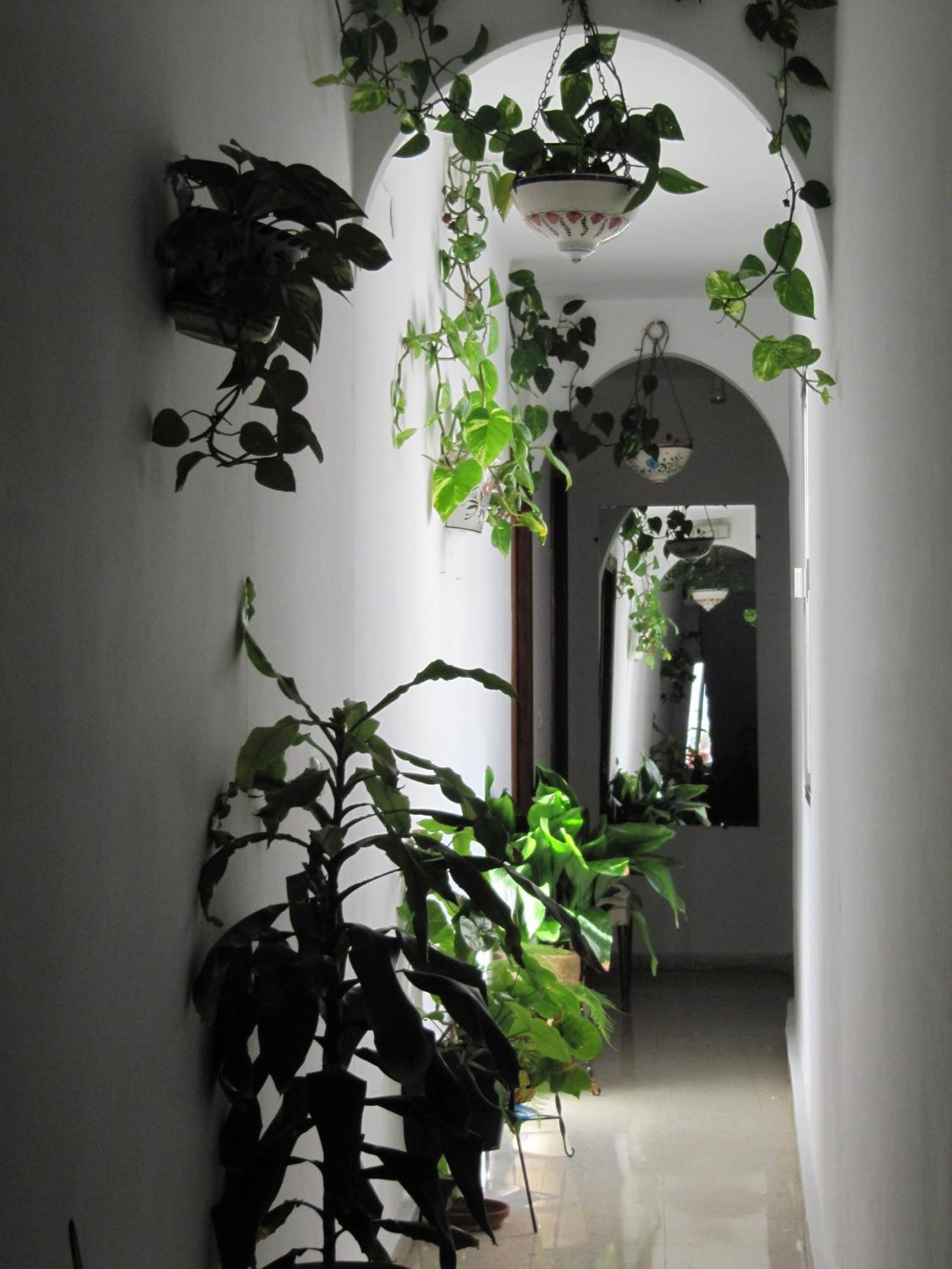 Hostal La Pilarica Marbella Luaran gambar