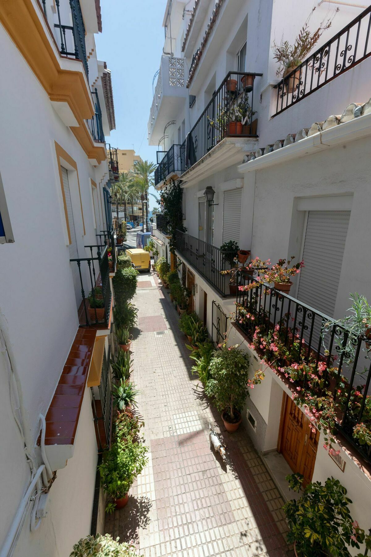 Hostal La Pilarica Marbella Luaran gambar