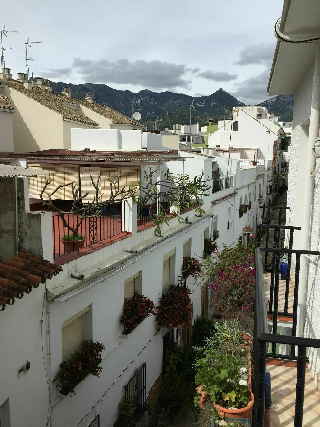 Hostal La Pilarica Marbella Luaran gambar